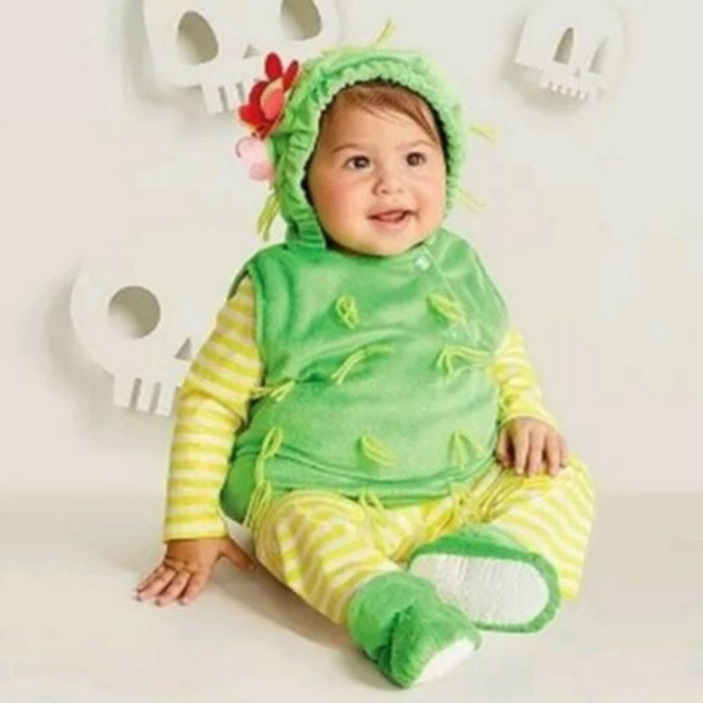 Infant complete costume Hyde and EEK Cactus Halloween New with tags